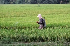 Pesticide overuse a top food safety concern
