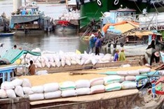 World rice price slump hits exporters