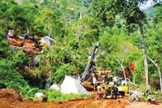 Vietnam’s biodiversity under threat