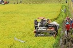 WB helps Mekong Delta tackle climate change