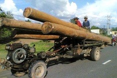 Special-use forests in Vietnam in the danger