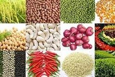 Farm exports generate US$9.13 billion in revenue