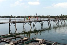 Lagoon known for seafood