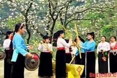 Ban Flower Festival 2017 slated for March