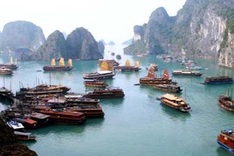 Ha Long to put a stop to unlicensed transport services