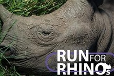Song Hong race to raise awareness of rhino protection