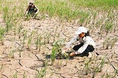 WB supports Vietnam in tackling climate change