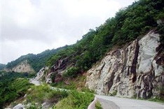 First cable car system put into use in Mekong Delta