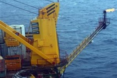 Vietnam’s 500 largest firms announced