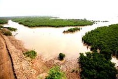 Local communities to manage forests