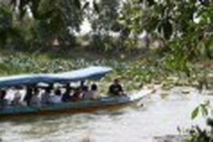 Birds steal the show in Tram Chim boat tour
