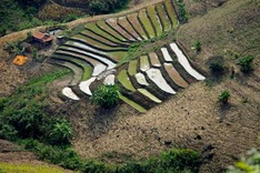 Road to Moc Chau Plateau