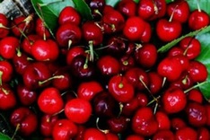 Vietnam to resume imports of Australian fruits and vegetables