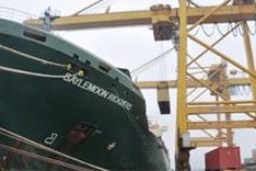 PM approves trade strategy, aims during 2011-30