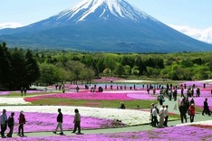 Vietnamese spend big money on shopping during overseas trips