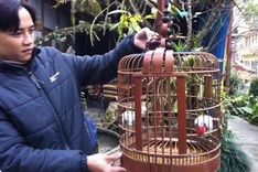 Ornate bird cages from Sapa