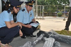 Enterprises owe huge amounts in back taxes