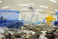 US levies anti-subsidy duties on Vietnamese shrimp