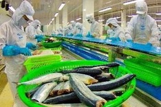 US remains Vietnam’s top seafood export market