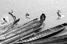 Photographers win gold medals at international contest