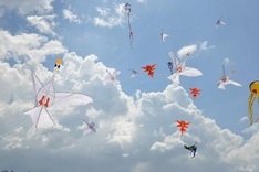 Kites add colour to Hoi An’s sky