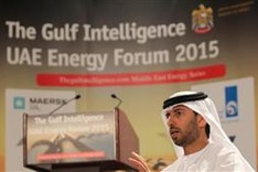 UAE says to invest $35 bln in clean energy by 2021
