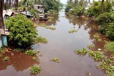 Five city factories fined for pollution