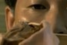 Japan scientist synthesizes meat from human feces