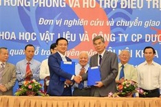 Việt Nam scientists create new nano anti-cancer complex