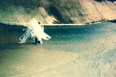 What's on June 12-18 (Daily updated)