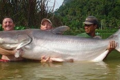 Mekong River reveals huge bounty