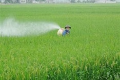 Vietnam strives to reduce CO2