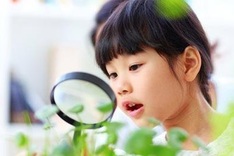 Vietnamese children only have booklore