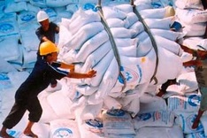 Government’s policy for rice growers needs improving