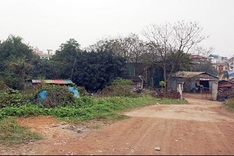 Companies abandon land amid economic downturn