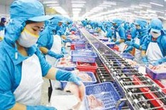 Debt relief for fisheries