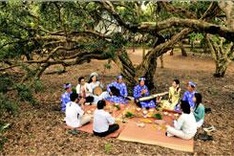 Tourists flock to ecological areas in Mekong Delta's Bac Lieu province