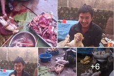 Monkey butcher questioned