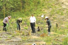 Environment plan creates new jobs