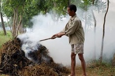 Post harvest straw smoke continues to harm people