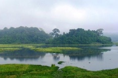 Cat Tien National Park enlarged