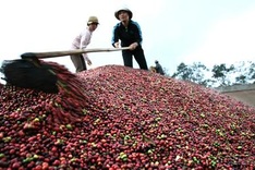 Vietnam to host Asia - Pacific Conference for next year