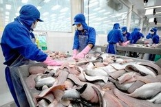 US imposes zero dumping tax on Vietnamese tra fish