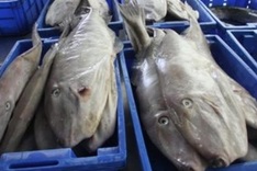 PPPs foster sustainable agricultural growth in Vietnam