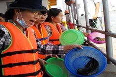 Fish-releasing ritual on Saigon River gains attention