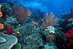 USAID biodiversity policy prioritizes Vietnam