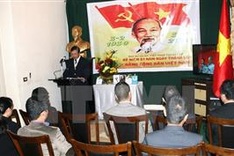 Vietnam-Egypt multi-faceted cooperation enhanced