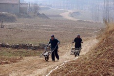 China's rural wealth gap near 'danger' level: study
