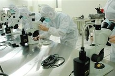 Halcyon days of cheap labour over