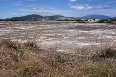 High dioxin levels in Binh Duong lakes